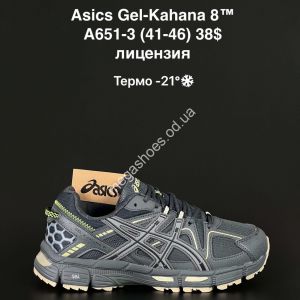 Мужские кроссовки Asics Gel-Kahana 8™ лицензия термо -21° A651-3 NA