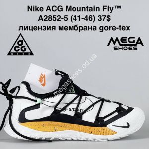 Мужские кроссовки Nike ACG Mountain Fly A2852-5 BH