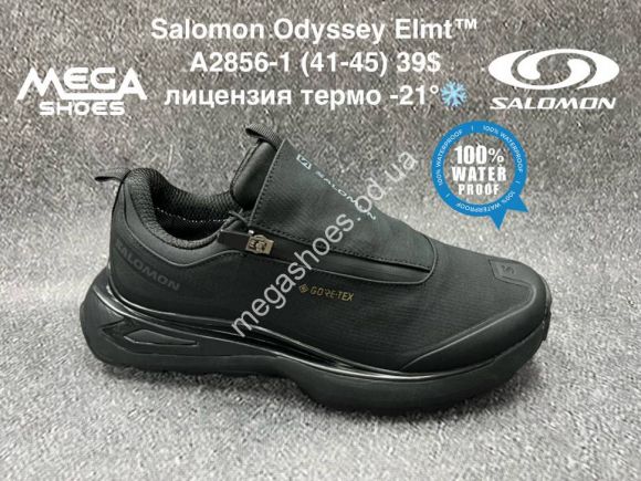 Мужская обувь - Мужские кроссовки Salomon Odyssey Elmt™ лицензия термо -21° A2856-1 BH - купить оптом в Одессе