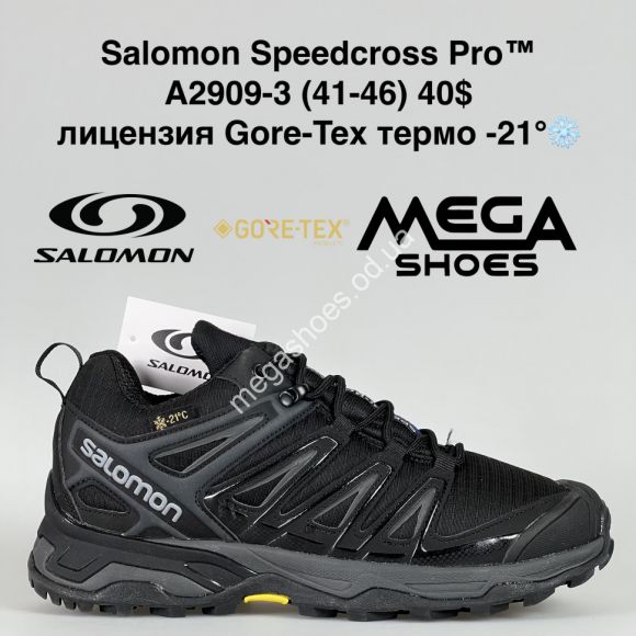 Мужская обувь - Мужские кроссовки Salomon Speedcross Pro™ лицензия Gore-Tex термо -21° A2909-3 BH - купить оптом в Одессе