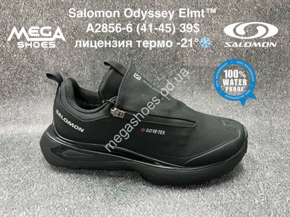 Мужская обувь - Мужские кроссовки Salomon Odyssey Elmt™ лицензия термо -21° A2856-6 BH - купить оптом в Одессе
