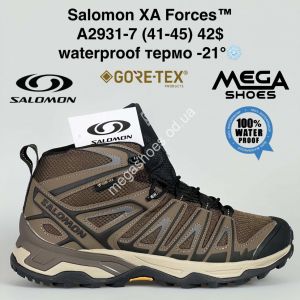 Мужские кроссовки Salomon XA Forces™ waterproof термо -21° A2931-7 SU