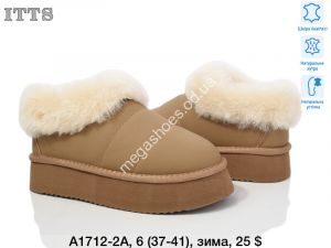 Угги ITTS зима A1712-2A TS Угги ITTS зима A1712-2A TS