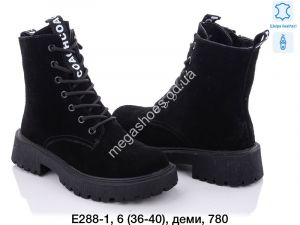 Ботинки Fashion E288-1 TS