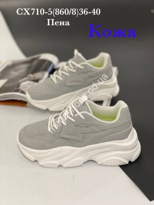 Кроссовки Stilli CX710-5 WB