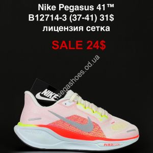Кроссовки Nike Pegasus 41™ лицензия, сетка B12714-3 FL
