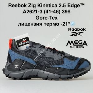 Мужские кроссовки Reebok Zig Kinetica 2.5 Edge Gore-Tex термо A2621-3 BH