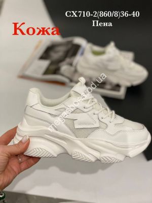 Кроссовки Stilli CX710-2 WB