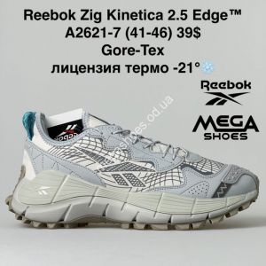Мужские кроссовки Reebok Zig Kinetica 2.5 Edge Gore-Tex термо A2621-7 BH