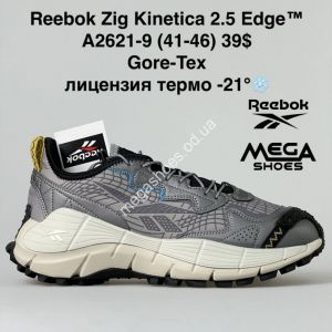 Мужские кроссовки Reebok Zig Kinetica 2.5 Edge Gore-Tex термо A2621-9 BH