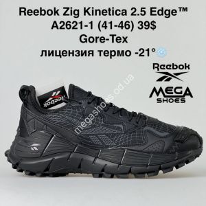 Мужские кроссовки Reebok Zig Kinetica 2.5 Edge Gore-Tex термо A2621-1 BH