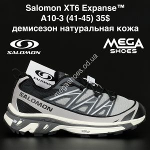 Мужские кроссовки Salomon XT6 Expanse™ демисезон, натуральная кожа AA10-3 NA