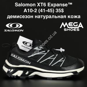 Мужские кроссовки Salomon XT6 Expanse™ демисезон, натуральная кожа AA10-2 NA