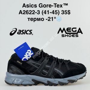 Мужские кроссовки Asics Gore-Tex термо A2622-3 SU
