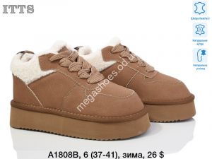 Ботинки ITTS зима A1808B TS