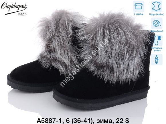 Женская обувь - Угги Dageni зима A5887-1 DG - купить оптом в Одессе