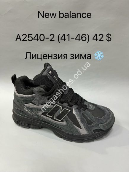 Мужская обувь - Мужские кроссовки New Balance 1906D™ лицензия зима с мехом -21° A2540-2 VS - купить оптом в Одессе