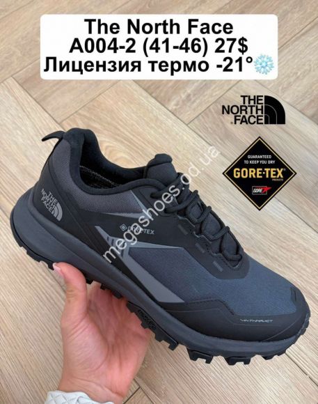 Мужская обувь - Мужские кроссовки The North Face лицензия, термо -21° A004-2 FL - купить оптом в Одессе