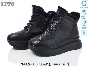 Ботинки ITTS зима CE082-6 TS