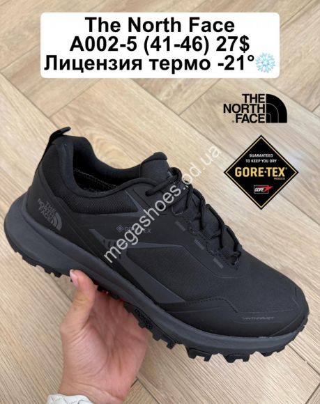 Мужская обувь - Мужские кроссовки The North Face лицензия, термо -21° A002-5 FL - купить оптом в Одессе