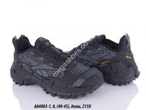 Мужские кроссовки Reebok AA4003-1 QA