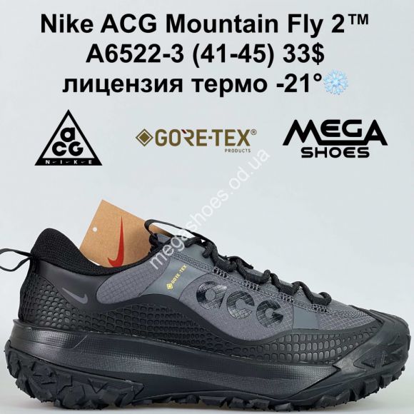Мужская обувь - Мужские кроссовки Nike ACG Mountain Fly 2™ лицензия, термо -21° A6522-3 JM - купить оптом в Одессе