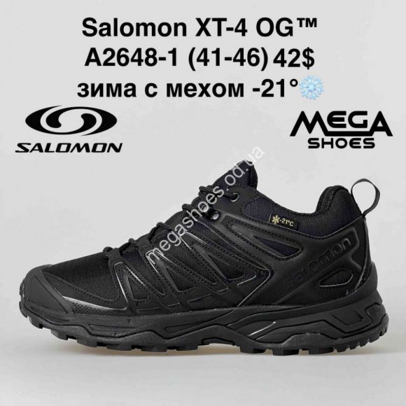 Мужская обувь - Мужские кроссовки Salomon XT-4 OG зима A2648-1 BH - купить оптом в Одессе