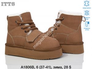 Ботинки ITTS зима A1806B TS