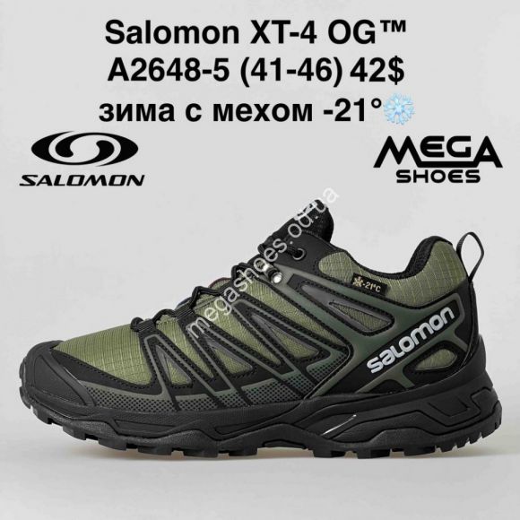 Мужская обувь - Мужские кроссовки Salomon XT-4 OG зима A2648-5 BH - купить оптом в Одессе