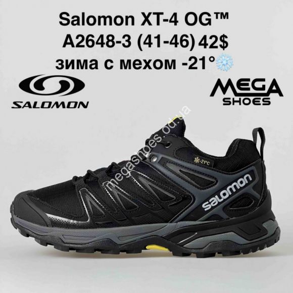Мужская обувь - Мужские кроссовки Salomon XT-4 OG зима A2648-3 BH - купить оптом в Одессе