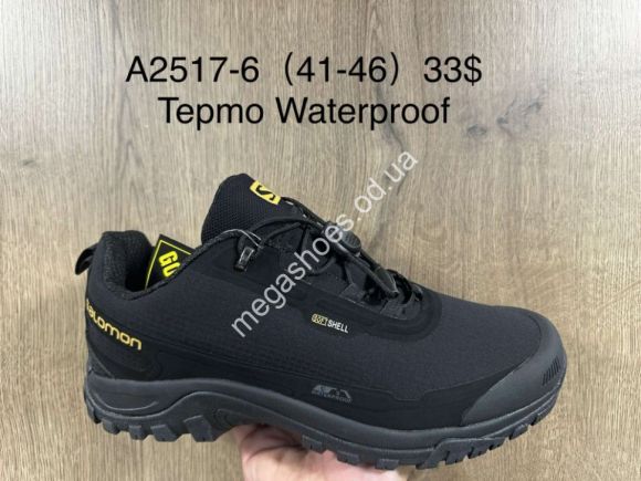 Мужская обувь - Мужские кроссовки Salomon Waterproof термо A2517-6 SU - купить оптом в Одессе