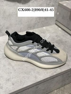 Мужские кроссовки Stilli CCX600-2 WB