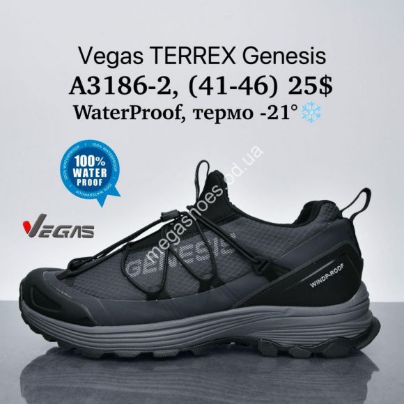 Мужская обувь - Мужские кроссовки Vegas TERREX Genesis Waterproof, термо -21° A3186-2 SU - купить оптом в Одессе