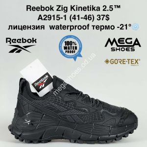 Мужские кроссовки Reebok Zig Kinetica 2.5™ лицензия waterproof термо -21° A2915-1 BH