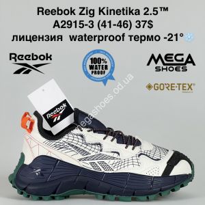 Мужские кроссовки Reebok Zig Kinetica 2.5™ лицензия waterproof термо -21° A2915-3 BH