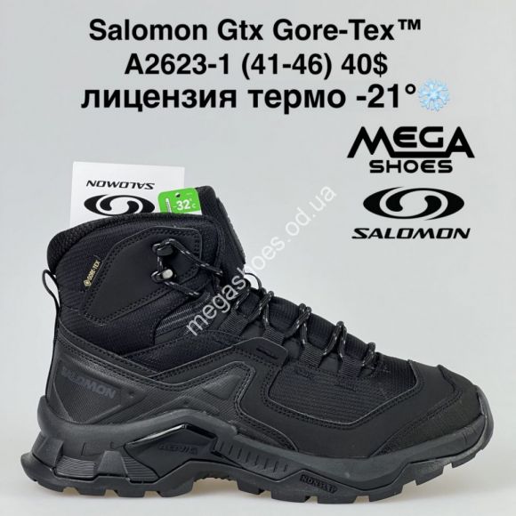 Мужская обувь - Мужские кроссовки Salomon GTX Gore-Tex термо A2623-1 BH - купить оптом в Одессе