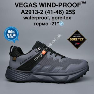 Мужские кроссовки VEGAS WIND-PROOF™ waterproof, gore-tex, термо -21° A2913-2 MG