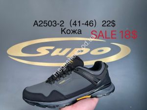 Мужские кроссовки Supo A2503-2 SU