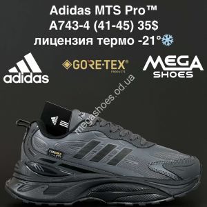 Мужские кроссовки Adidas MTS Pro™ лицензия, термо -21° A743-4 NA Мужские кроссовки Adidas MTS Pro™ лицензия, термо -21° A743-4 NA