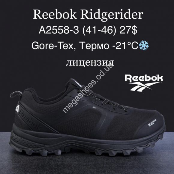 Мужская обувь - Мужские кроссовки Reebok Ridgerider Gore-Tex, термо -21°, лицензия A2558-3 MG - купить оптом в Одессе