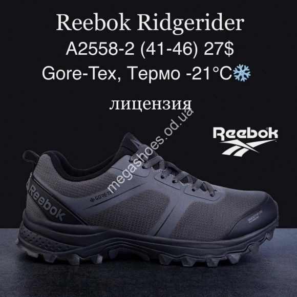 Мужская обувь - Мужские кроссовки Reebok Ridgerider Gore-Tex, термо -21°, лицензия A2558-2 MG - купить оптом в Одессе