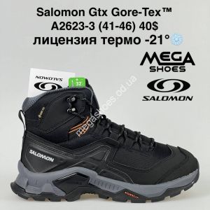 Salomon bologna clearance