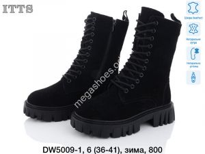 Ботинки ITTS зима DW5009-1 TS