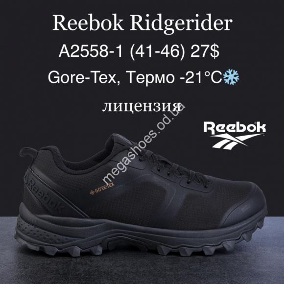 Мужская обувь - Мужские кроссовки Reebok Ridgerider Gore-Tex, термо -21°, лицензия A2558-1 MG - купить оптом в Одессе