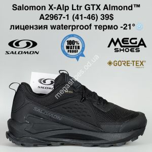 Мужские кроссовки Salomon X-Alp Ltr GTX Almond™ лицензия waterproof термо -21° A2967-1 BH Мужские кроссовки Salomon X-Alp Ltr GTX Almond™ лицензия waterproof термо -21° A2967-1 BH