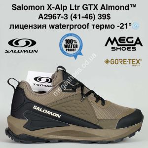 Мужские кроссовки Salomon X-Alp Ltr GTX Almond™ лицензия waterproof термо -21° A2967-3 BH Мужские кроссовки Salomon X-Alp Ltr GTX Almond™ лицензия waterproof термо -21° A2967-3 BH