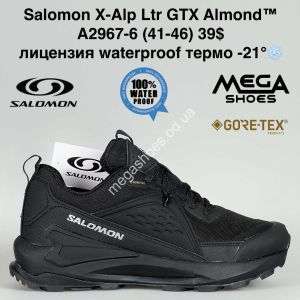 Мужские кроссовки Salomon X-Alp Ltr GTX Almond™ лицензия waterproof термо -21° A2967-6 BH