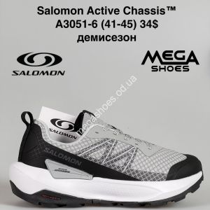 Мужские кроссовки Salomon Active Chassis™ демисезон A3051-6 SU Мужские кроссовки Salomon Active Chassis™ демисезон A3051-6 SU