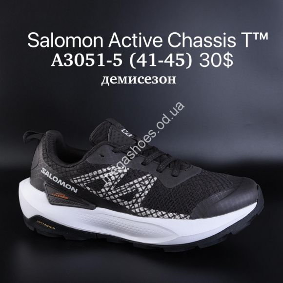Мужская обувь - Мужские кроссовки Salomon Active Chassis T™ демисезон A3051-5 SU - купить оптом в Одессе