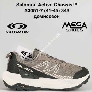 Мужские кроссовки Salomon Active Chassis™ демисезон A3051-7 SU Мужские кроссовки Salomon Active Chassis™ демисезон A3051-7 SU